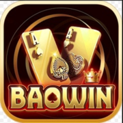 Baowin Cổng Game Bài Đổi Thưởng's avatar