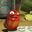 Paoyer Perricotte
