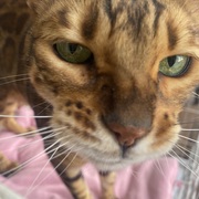 Khadijah Abduraheman