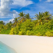 Jaswanth  Thundlam's avatar