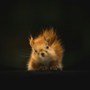 Dakshata Mishra's avatar