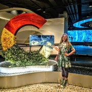 Megan Lawther's avatar