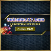 Soi Cau 247's avatar