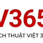 Dịch Thuật Việt 365's avatar