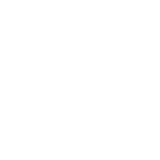 REAL ESTATE's avatar