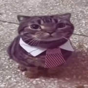 Turan Khidirov's avatar