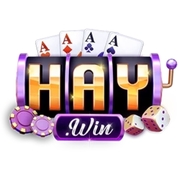 Cổng game HAYWIN's avatar