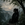 Annu 001