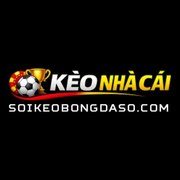 soikeobongdaso com's avatar