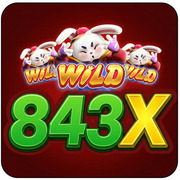 843x org's avatar