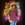 Abhijith B