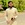 Muhammad Zain Amjad