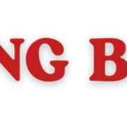 Hoàng Bảo Long's avatar