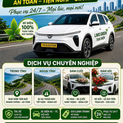 Taxi Điện Quảng Ngãi's avatar