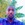 Abdulmajeed  Tijani