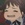 haru nasu