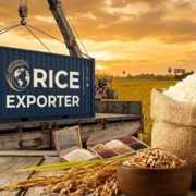 Rice Exporters In Pakistan's avatar