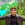 Pranay Soni