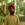 Ekjot Singh