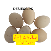 Zubair syed