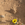 B R