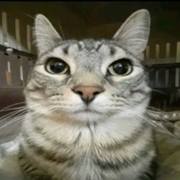Manu J's avatar