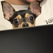 Cristal Miranda's avatar