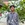 Shuvo Chakma