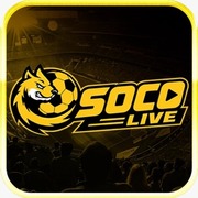 Socolive8 media's avatar