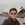 Mark Hoang