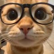 Arthur Wong's avatar