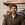 tushar shah