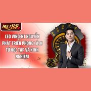 Vincent Nguyễn's avatar