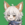 A akifumi