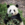 Tingxuan Wang