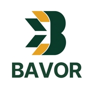 BAVOR CONSULTING's avatar