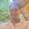Mohamed Mohey