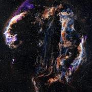Sara Khan