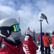 Hayun Park's avatar
