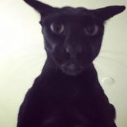 Evil Larry