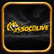 Socolive10 art's avatar