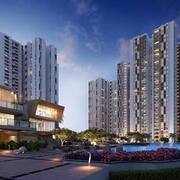 Prestige Park Ridge's avatar