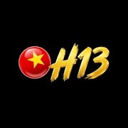 h13 solutions's avatar